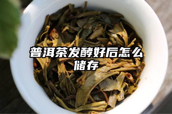 普洱茶发酵好后怎么储存