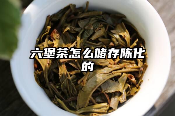 六堡茶怎么储存陈化的