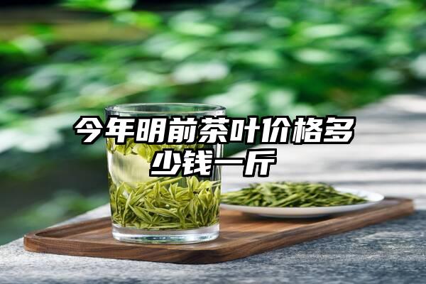 今年明前茶叶价格多少钱一斤