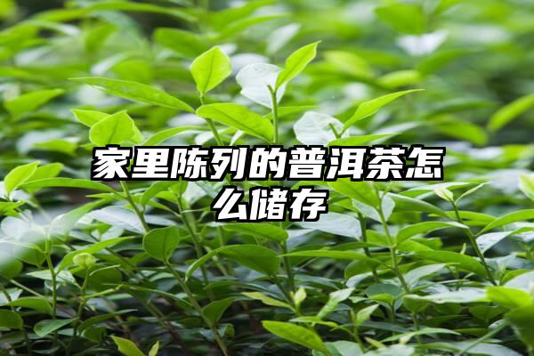 家里陈列的普洱茶怎么储存