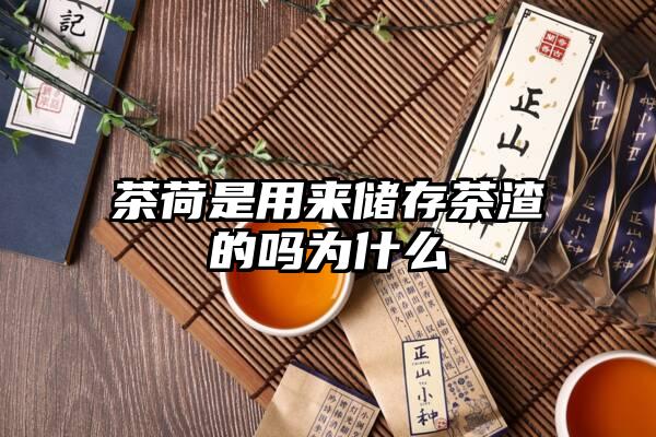 茶荷是用来储存茶渣的吗为什么