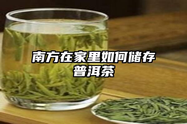 南方在家里如何储存普洱茶