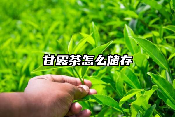 甘露茶怎么储存