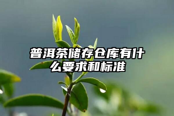 普洱茶储存仓库有什么要求和标准