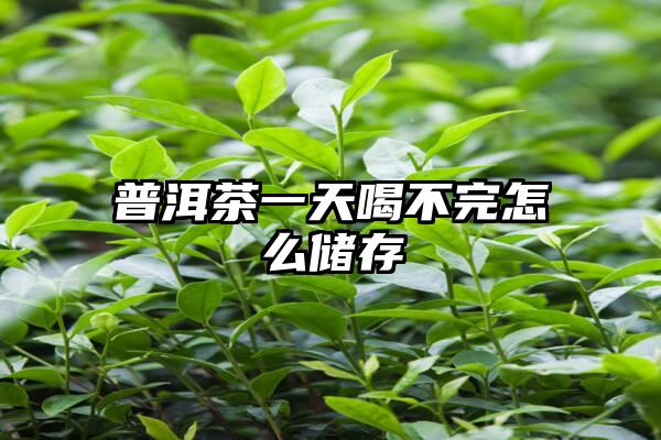 普洱茶一天喝不完怎么储存