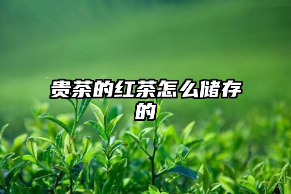 贵茶的红茶怎么储存的