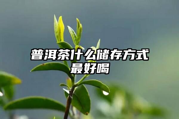 普洱茶什么储存方式最好喝