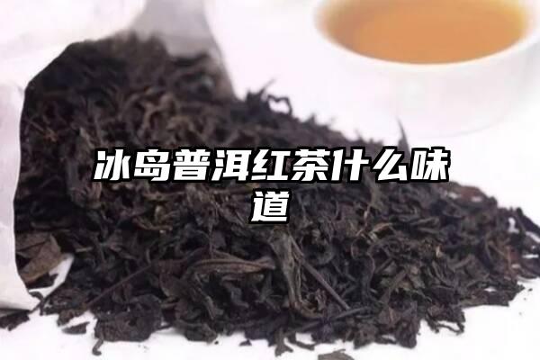 冰岛普洱红茶什么味道