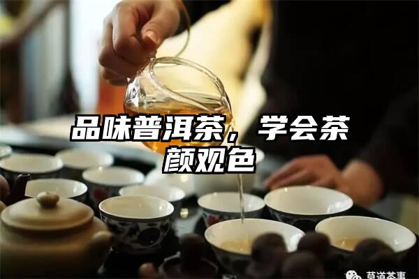 品味普洱茶，学会茶颜观色