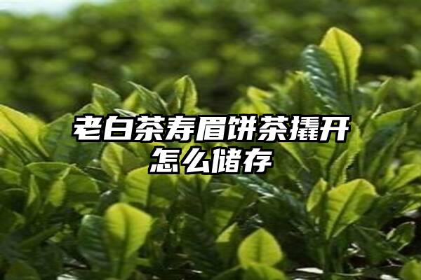 老白茶寿眉饼茶撬开怎么储存