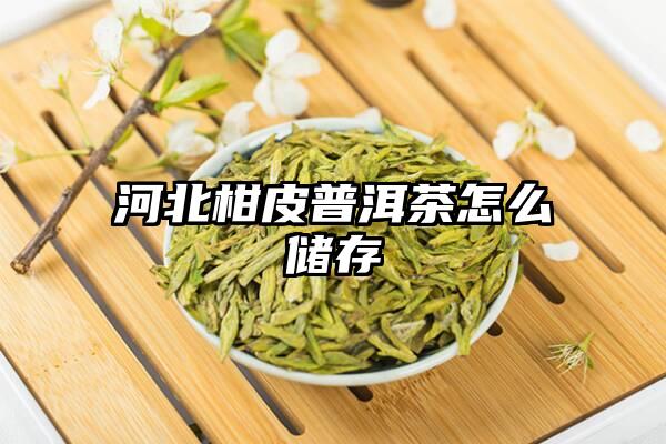 河北柑皮普洱茶怎么储存