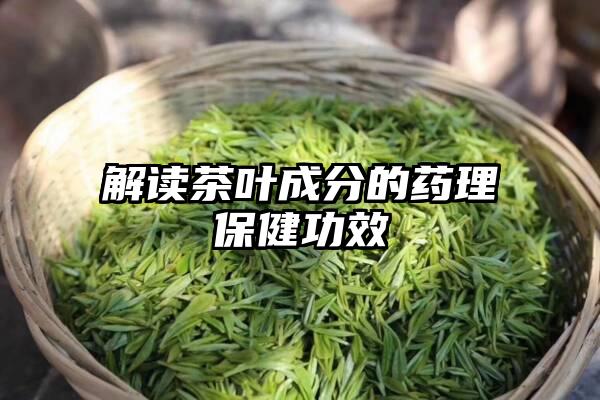 解读茶叶成分的药理保健功效