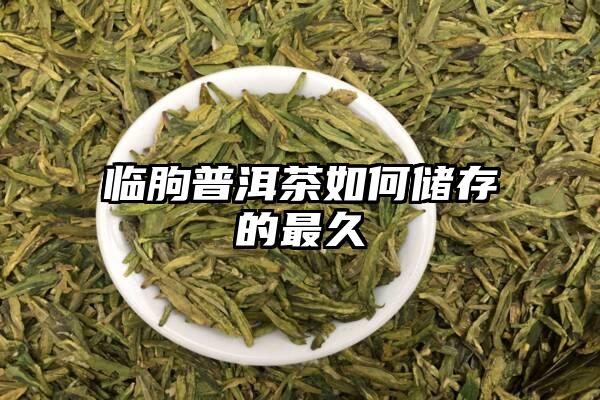 临朐普洱茶如何储存的最久