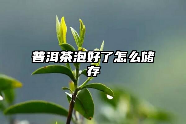 普洱茶泡好了怎么储存