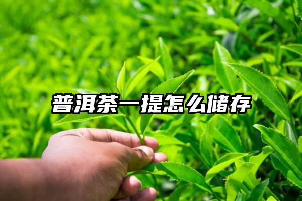 普洱茶一提怎么储存