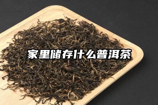 家里储存什么普洱茶