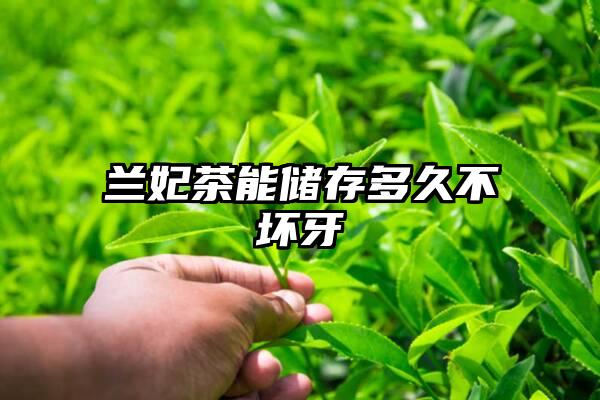 兰妃茶能储存多久不坏牙