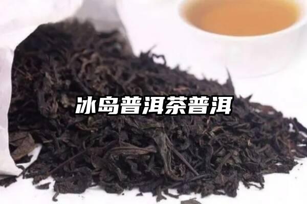 冰岛普洱茶普洱