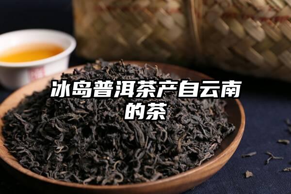 冰岛普洱茶产自云南的茶