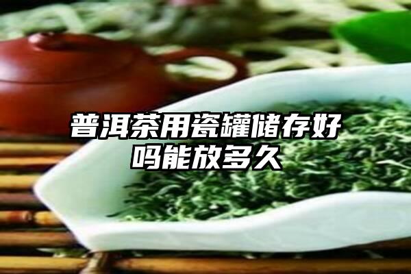 普洱茶用瓷罐储存好吗能放多久