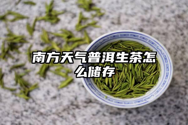 南方天气普洱生茶怎么储存