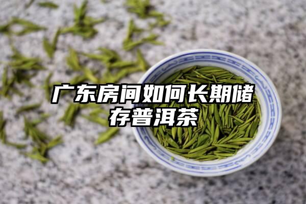 广东房间如何长期储存普洱茶