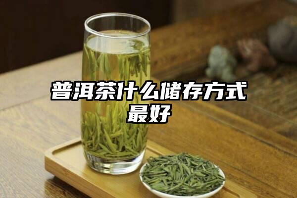 普洱茶什么储存方式最好