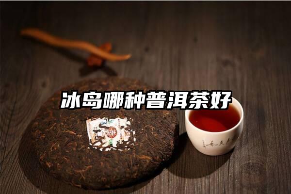 冰岛哪种普洱茶好