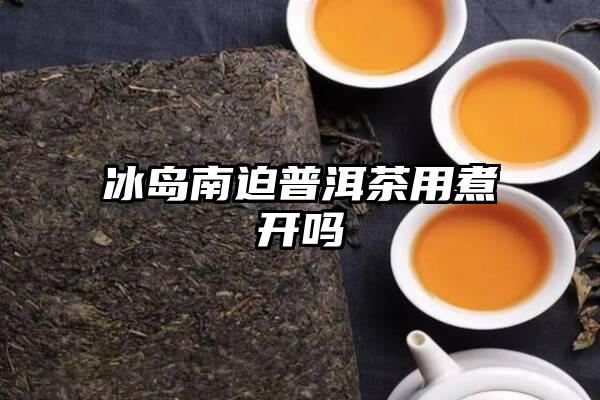 冰岛南迫普洱茶用煮开吗