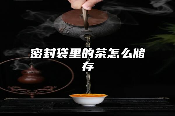 密封袋里的茶怎么储存