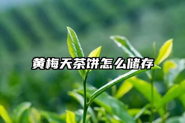 黄梅天茶饼怎么储存