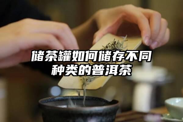 储茶罐如何储存不同种类的普洱茶