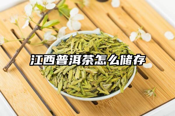 江西普洱茶怎么储存