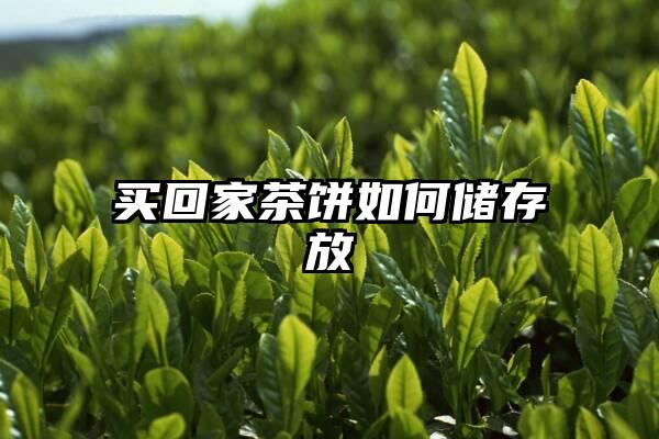 买回家茶饼如何储存放