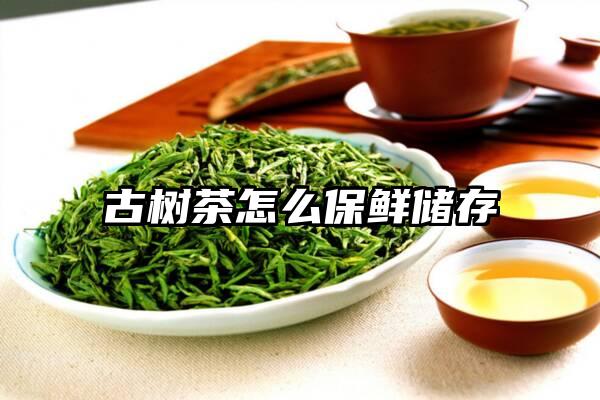 古树茶怎么保鲜储存