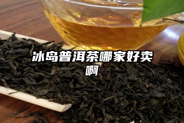 冰岛普洱茶哪家好卖啊