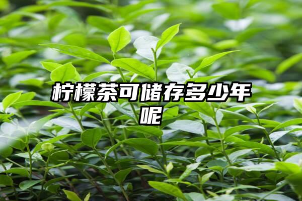 柠檬茶可储存多少年呢