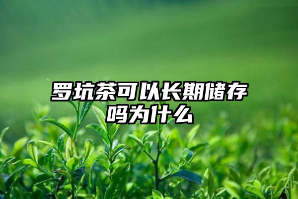 罗坑茶可以长期储存吗为什么