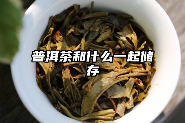 普洱茶和什么一起储存