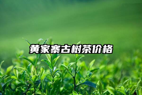 黄家寨古树茶价格