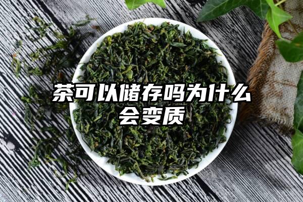 茶可以储存吗为什么会变质