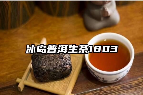 冰岛普洱生茶1803