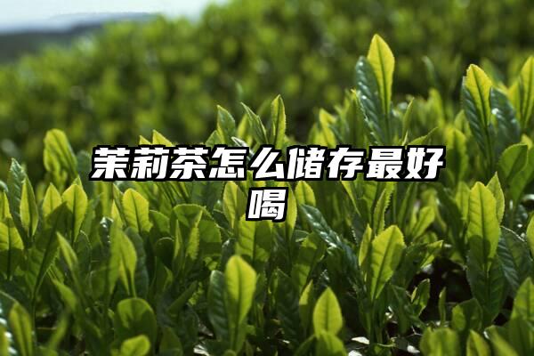 茉莉茶怎么储存最好喝