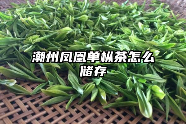 潮州凤凰单枞茶怎么储存