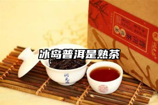 冰岛普洱是熟茶