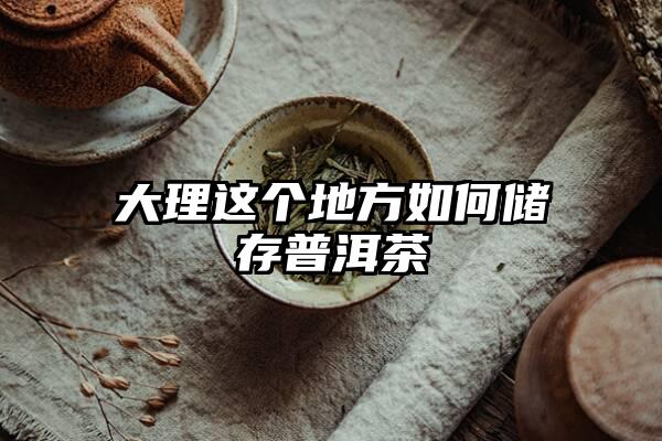 大理这个地方如何储存普洱茶