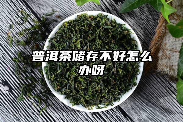 普洱茶储存不好怎么办呀