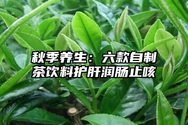 秋季养生：六款自制茶饮料护肝润肠止咳