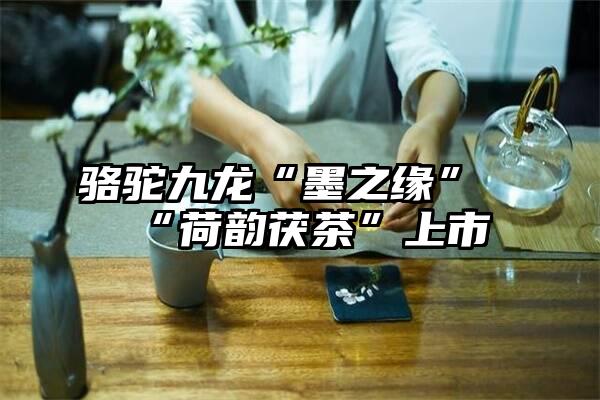 骆驼九龙“墨之缘”“荷韵茯茶”上市