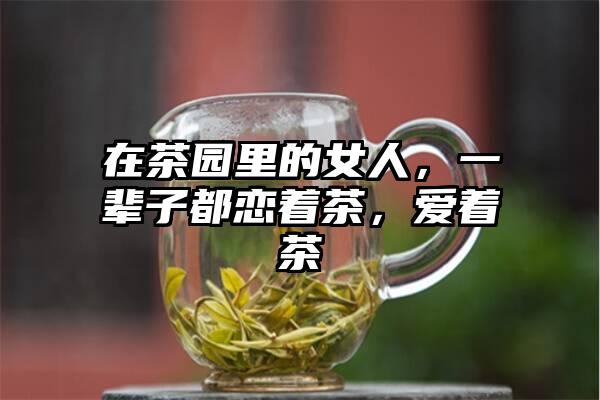 在茶园里的女人，一辈子都恋着茶，爱着茶